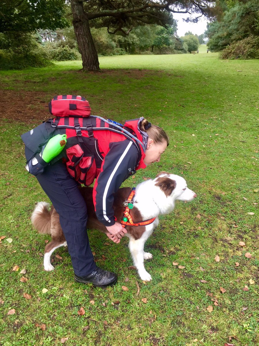HSARDogs's tweet photo. Area search for Kai. Lots of walkers about making it a difficult search but one in the bag with @ChloeTier found &amp; radioed in to control. https://t.co/vPw93gdJu0