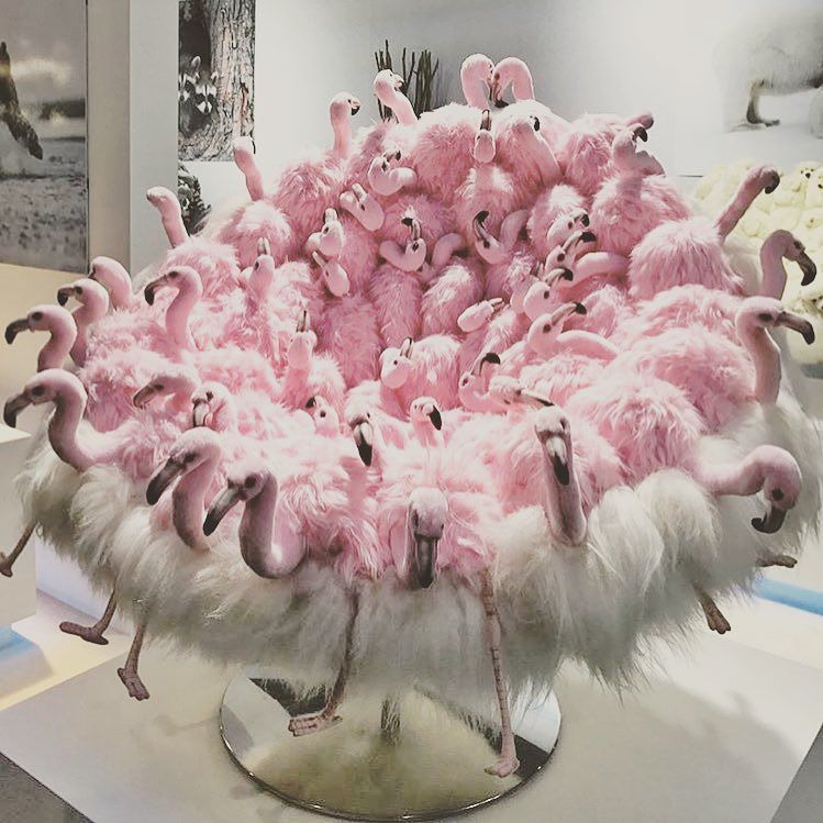 AnneKitel's tweet image. Non, vous ne rêvez pas, il s'agit bien d'un fauteuil flamants roses....🤔#maisonetobjet2017 #flamingo #flamantrose … ift.tt/2jf1PvZ