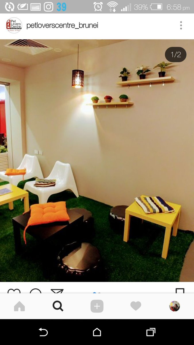 Naadhirah Mahmud on Twitter "OMG A CAT CAFE HERE IN BRUNEI 😻 CAT