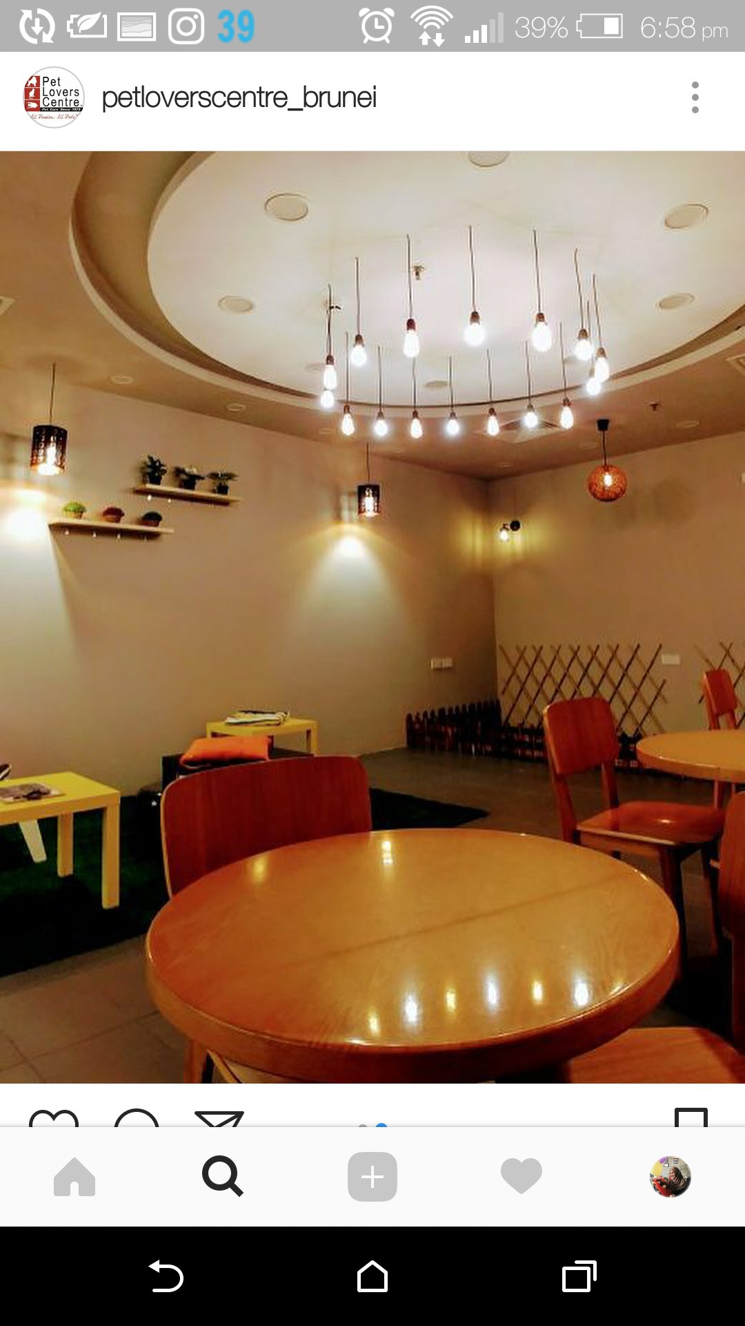 Naadhirah Mahmud on Twitter "OMG A CAT CAFE HERE IN BRUNEI 😻 CAT