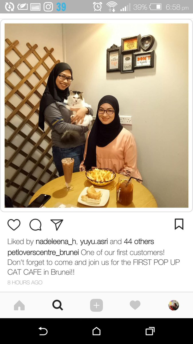 Naadhirah Mahmud on Twitter "OMG A CAT CAFE HERE IN BRUNEI 😻 CAT