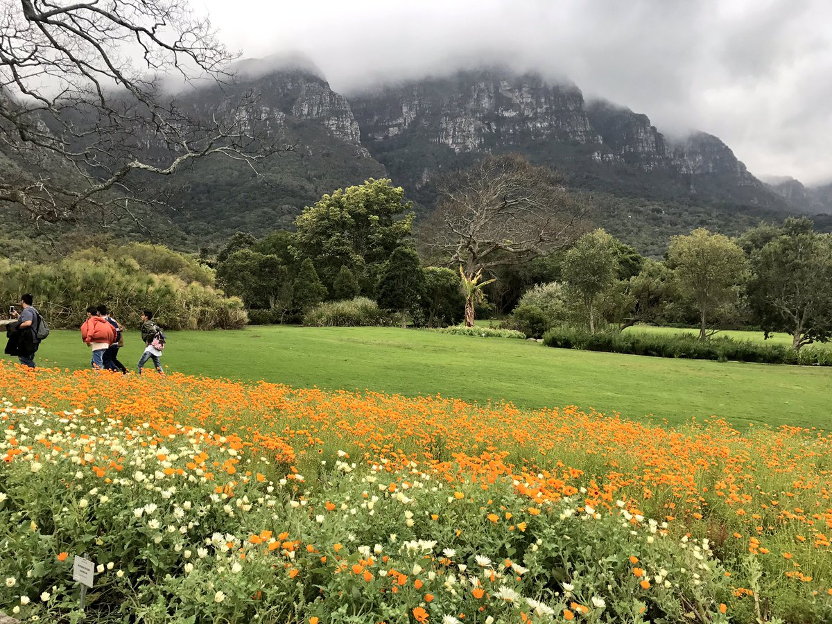 My days in pictures- Issa colorful city 🌈💗❤️💛💚💙🖤 #CapeTown