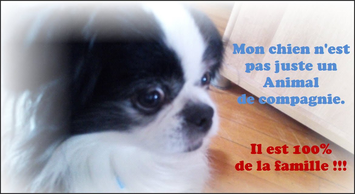 IndepQc's tweet photo. https://t.co/lSXqwUeQf2