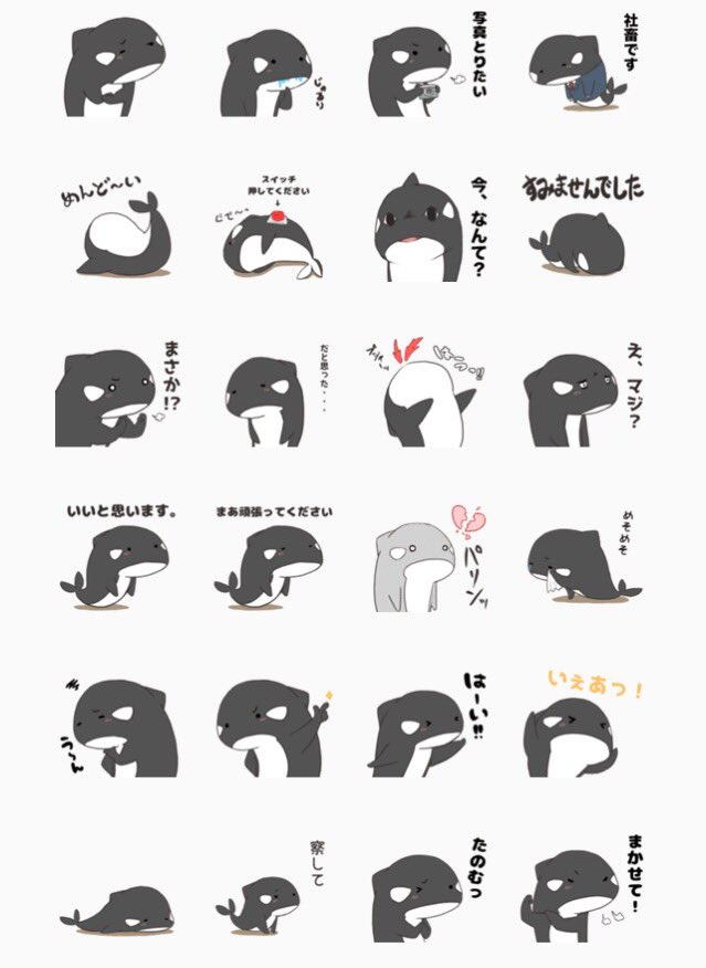 LINEスタンプのシャチのしゃっちー3販売開始いたしました！ いるかさん