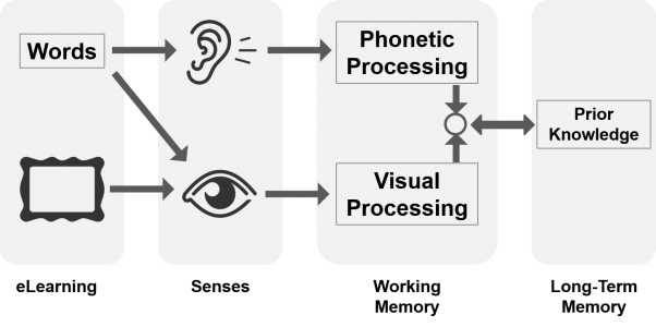 elearningtags's tweet image. Manage Cognitive Load in Digital Learning dlvr.it/Pm0Txz #eLearningCompanies #AdultLearningPrinciples