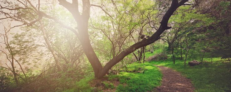 RuthFarenga's tweet image. Get outside this weekend - it's good for you! #mindfulness #weekendvibes #stalbans  #wellbeing buff.ly/2wHjrUn