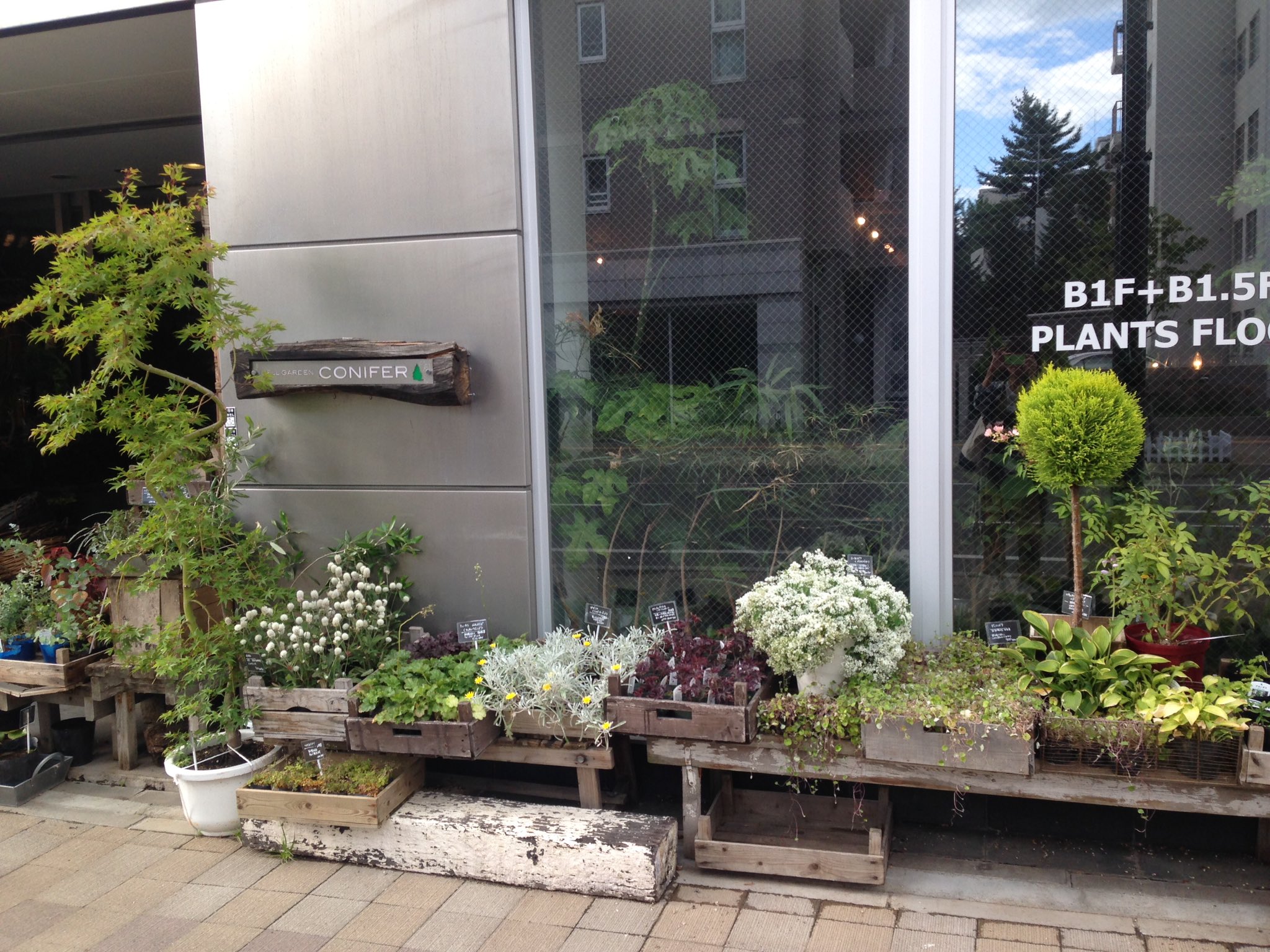 サカサマツリ 逆様祭 協賛店 チケット販売店 Dell Garden Conifer デルガーデンコニファー 住所 札幌市中央区南1条西21丁目1 16 マイアトリア裏参道1f 営業時間 9 00 19 00 ホームページ Conifer Cc 円山revolverのすぐ近く ライブ前に是非
