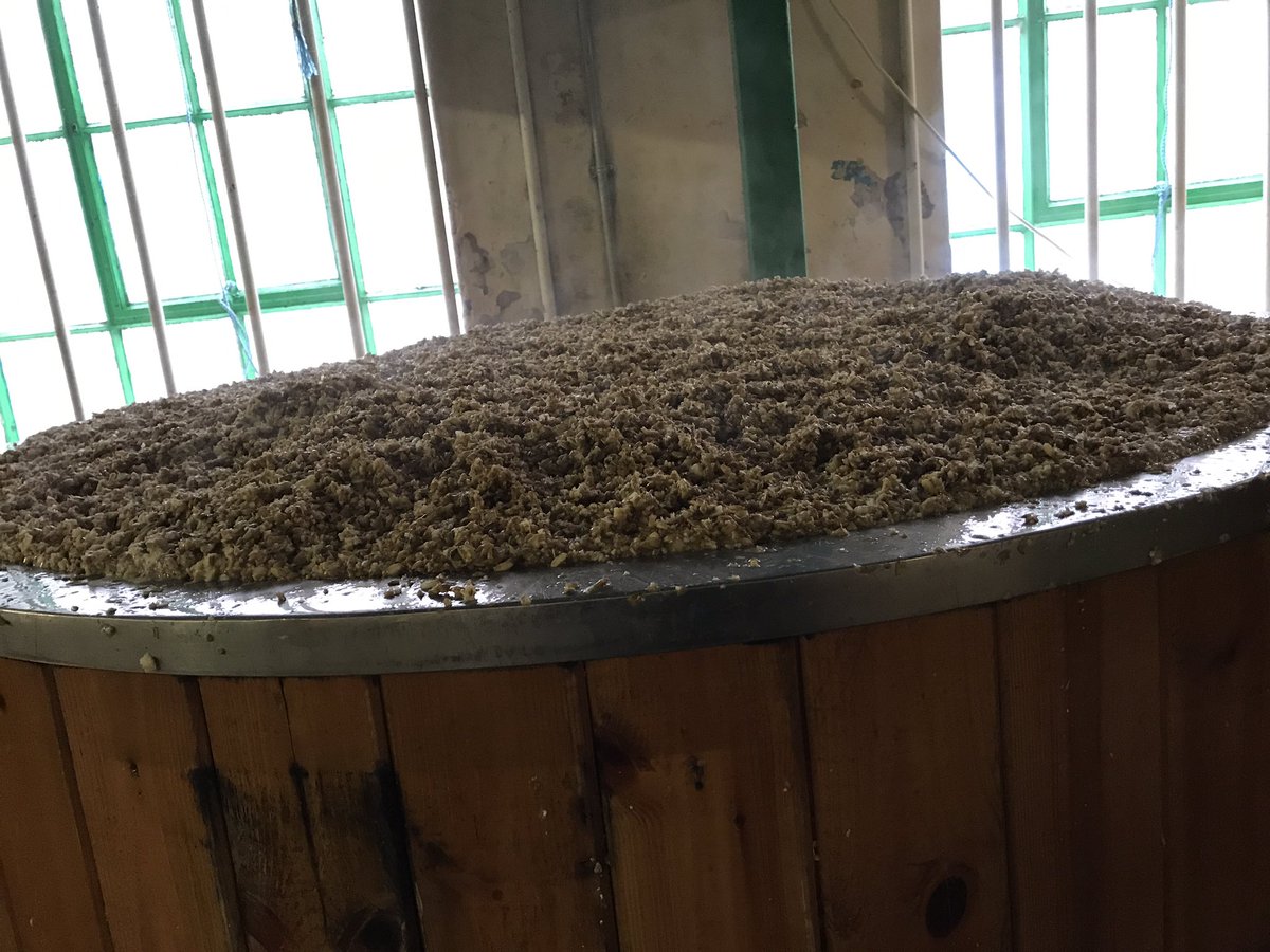 Ricochet just about fit in the tun...