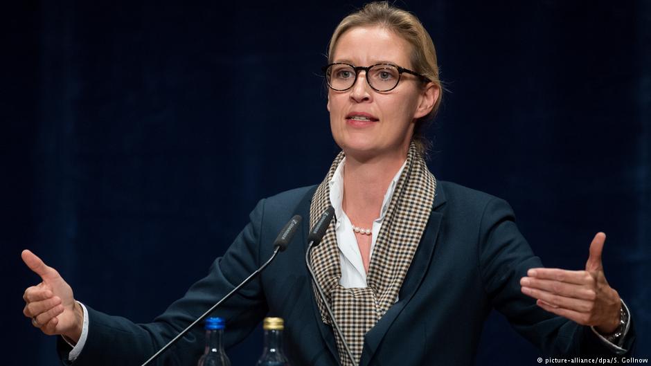 AfD's Alice Weidel called German government 'pigs' in racist email