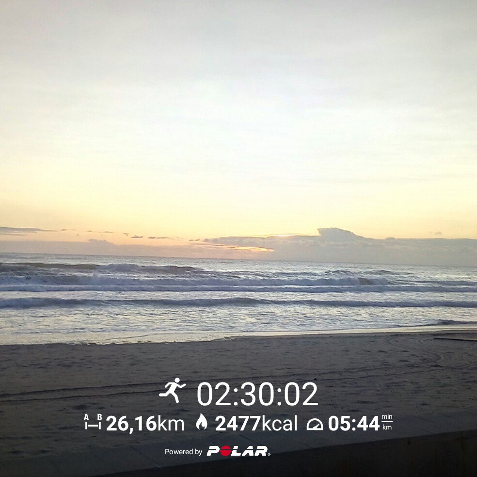 JLBracamonte's tweet photo. #PolarM400 26 Km de rodaje en solitario para acostumbrar piernas y cabeza a las tiradas largas. En un mes, #maratonlisboa https://t.co/P7DhhAZSzM