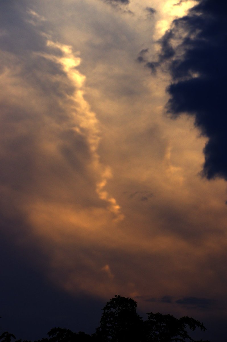 鳴神響一 なるかみきょういち 西の夕空に昇り龍のような雲が出ていました 幻聴は ルーマニア出身の美女４人組 Amadeus Electric Quartet アマデウス エレクトリック カルテット の演奏で Earth Song をどうぞ T Co Xojf1d3oad