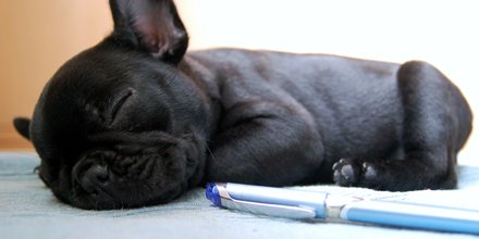 goodnessprojct's tweet photo. SLEEP TIP | Write down what's on your mind to clear your head https://t.co/nfwf1fHEQs #sleeptips #selfcaresunday https://t.co/hiCMG6Szkm