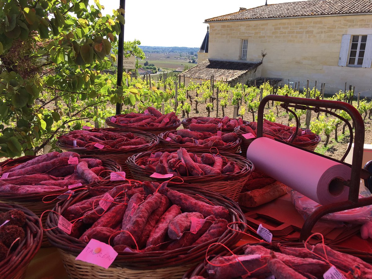 INTO_wines's tweet photo. Chateau Clos La Medeleine, a charming little #chateau 🍷just on the outskirts of Saint Emilion 📍
#saintemilion #wine @BordeauxWines https://t.co/GlEqaDCIc0