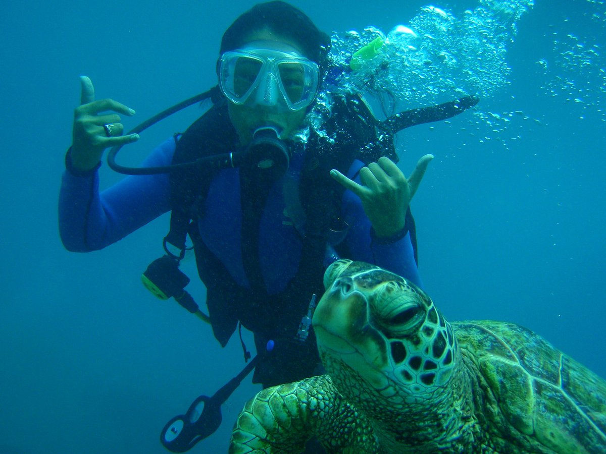 дайвинг в хургаде. аквалангисты достигают.