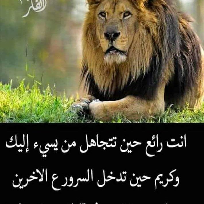 سيوفي العراقي (@syfalraqy61) on Twitter photo 