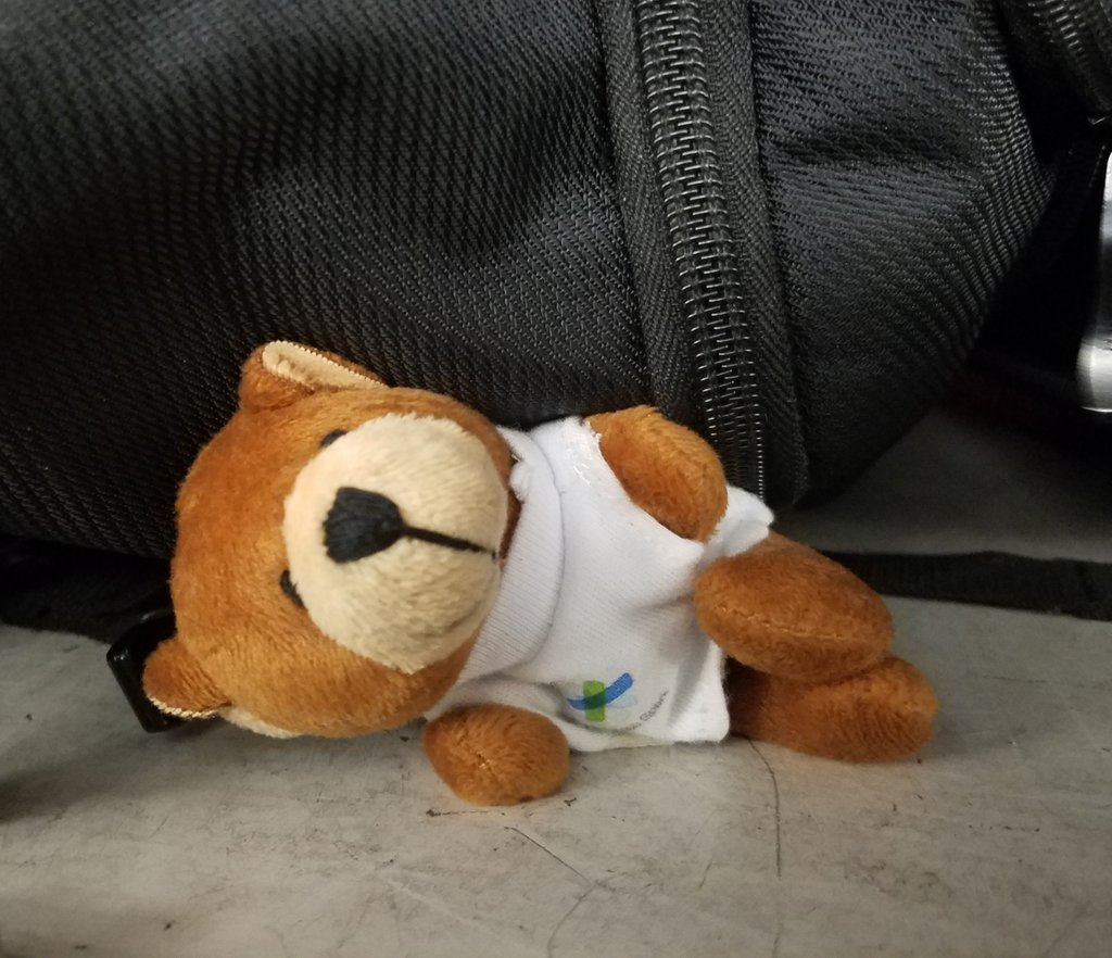 petergjones's tweet photo. #SparkBear getting comfy in the #OverHeadBin for the flight to #802dot3 #WeAreCisco @CiscoSpark @mini_switch https://t.co/boYsrLvBay
