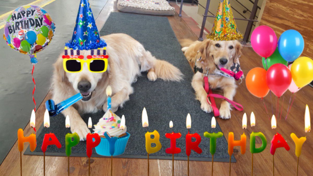 ECADServiceDogs's tweet photo. https://t.co/i0U5wQnWEc Happy Birthday to Tuesday, Blue and Linus!! #ECADServiceDogs #thankyou #happybirthday #bidbidbid #RIPlinus ❤💙❤🐾🎉🎊🐾 https://t.co/ec61RWf6uM