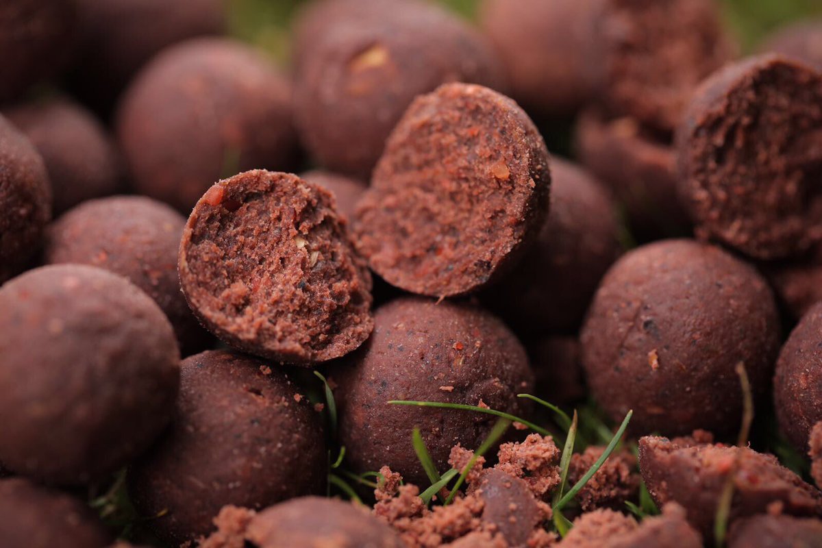 Very, very excited about this fishmeal Freezer bait boilie 'The Link' the testing period is nearly over... #mainlinebaits