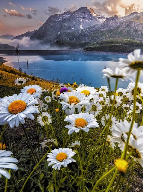 <a href="/GaillardoJose/">GaillardoJose</a> <a href="/mariagr39912290/">Maria Grazia Ferro</a> <a href="/nieuwemarlean/">nieuwemarlean</a> <a href="/paparosso60/">Alexandra</a> <a href="/monicasloves/">Monica Cates</a> <a href="/betyzapi/">Beatriz</a> Thank you Jose. 😊 Have a beautiful day everyone. 💞🌺