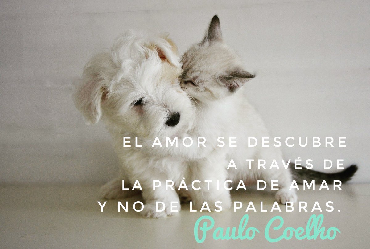 #FelizDomingo #love #amoryamistad