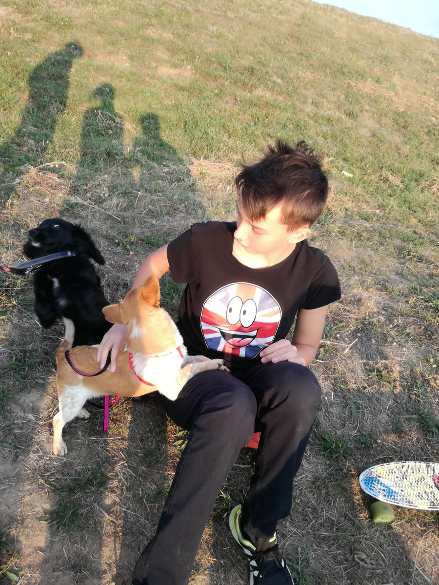 simona90217104's tweet photo. Walking with dogs🐕 #boys #girls #dogs #nature #bestdayever #walk #Vrable #Slovakia #love https://t.co/0rxseAoghU