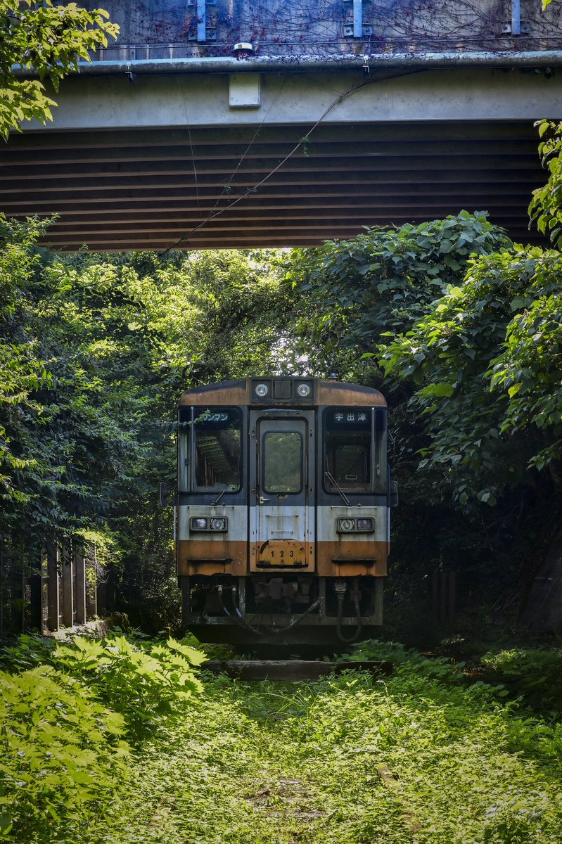 まめ Twitterissa 廃列車最高でした O のと鉄道 廃墟 廃列車 放置 D850 Nikon