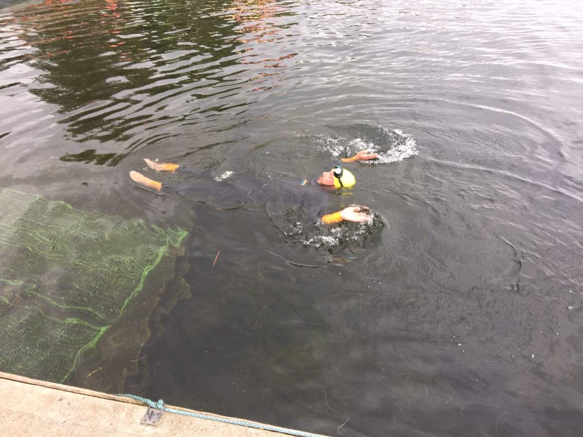 swimathon's tweet photo. Who said you can't complete your #OWS17 challenge AND have a nap?! https://t.co/RcVuexe1Bh