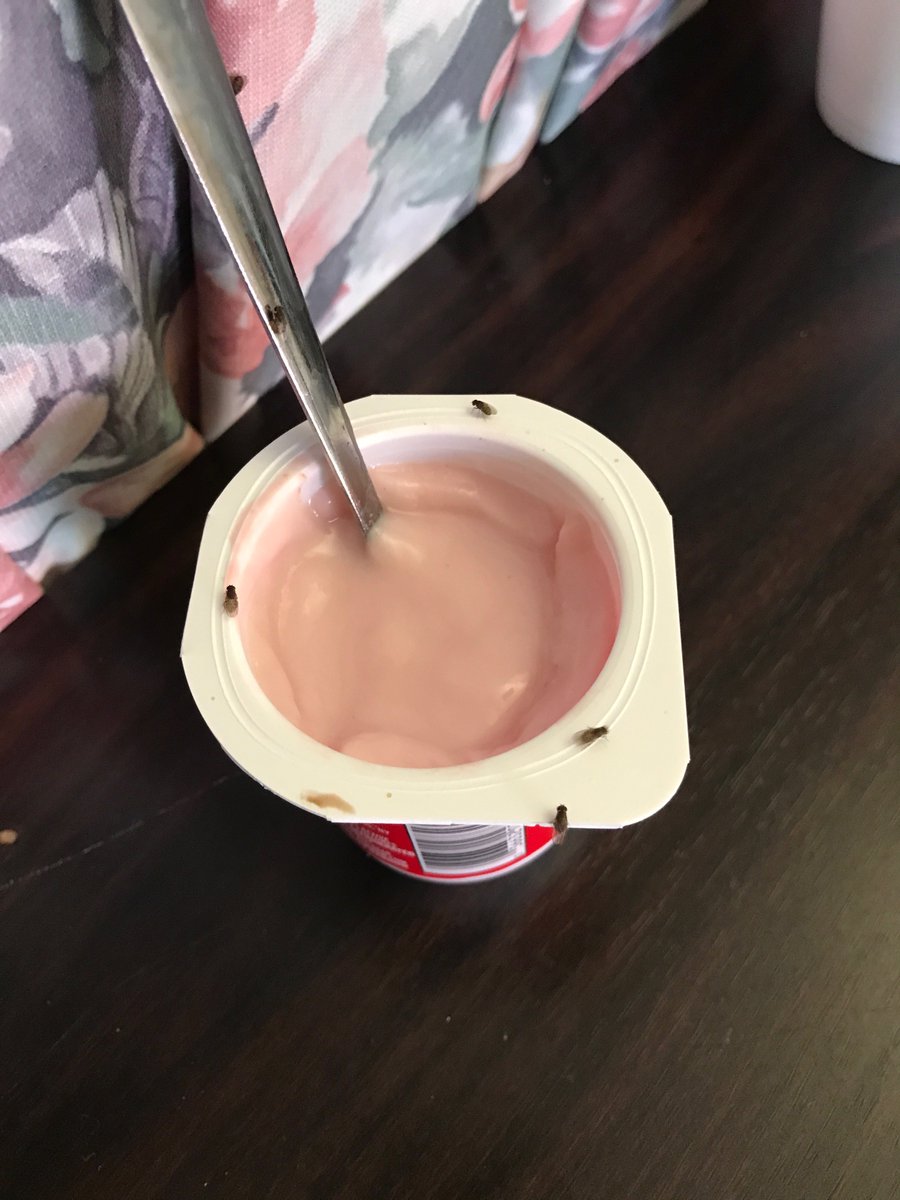 MarlenaTV's tweet photo. .@HealthNYGov #SHAMEFUL: Take a look at what's crawling all over my great-aunt's yogurt, bedside at Good Samaritan in Delmar NY #dosomething https://t.co/AqQ88JHpCN