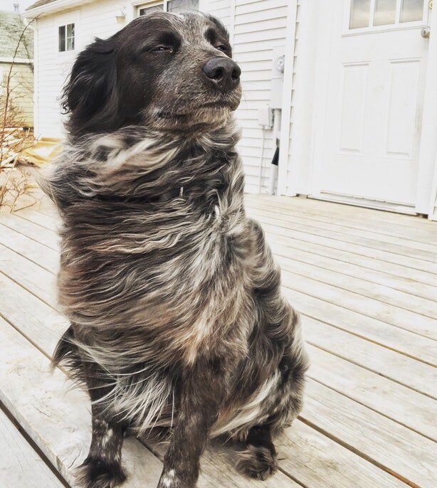 When will my husband return from sea.