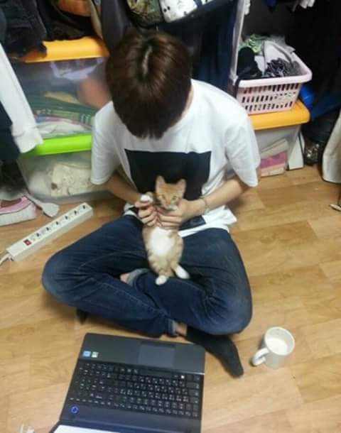 peachesandtokki's tweet photo. Ofcourse his favorite selcas with his beloved cats πππ
#KangDaniel #WannaOne #PredebutSelca
#κ°λ€λμ #λ
€λ #μλμ https://t.co/3BlLjDfkix