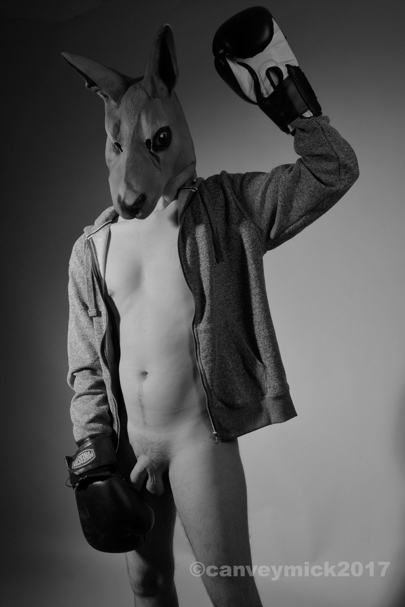 canveymick's tweet photo. Kangaroo #maskednudes https://t.co/UfyU3TPE6y