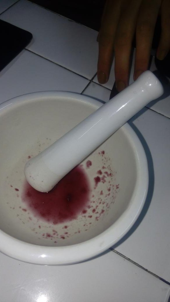 BrianBjvt9's tweet photo. Práctica cromatografía @agorajavier C4 T.zebrina
Pig vio:Antocianinas
Pig rojos: Carotenoides https://t.co/tftEcQvm1H