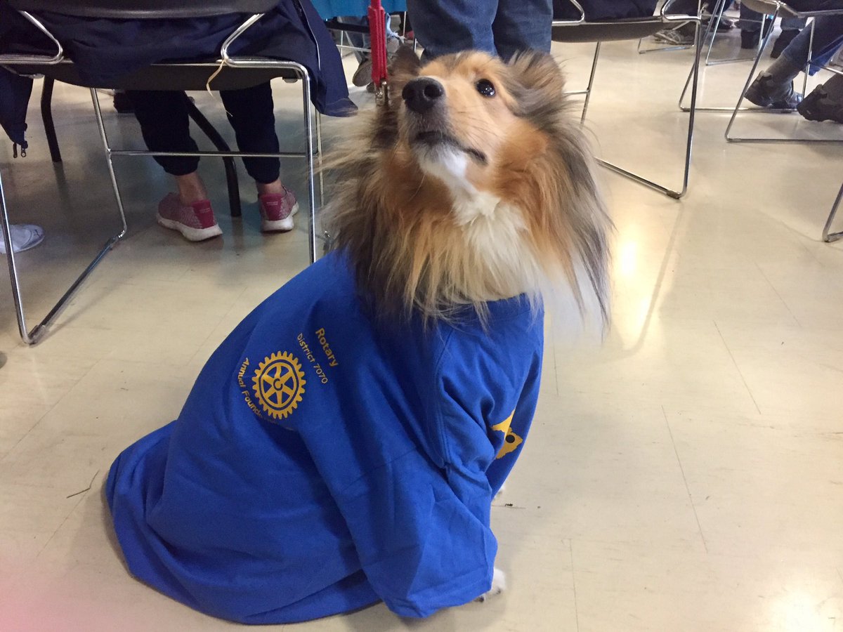 Rotarians come in all shapes and sizes #FoundationWalk <a href="/rotary7070/">Rotary District 7070</a>