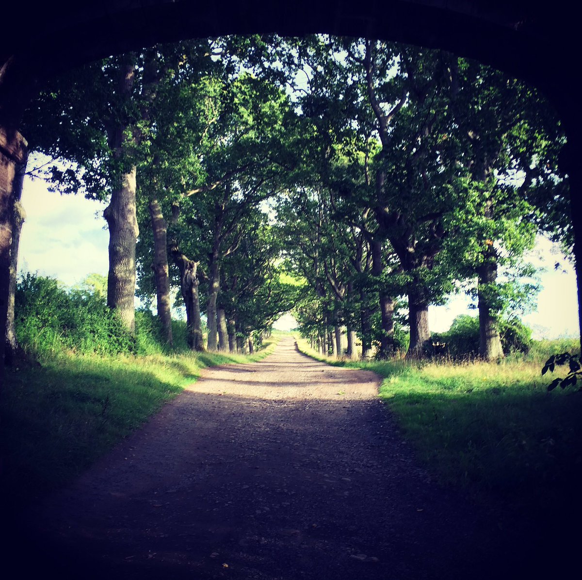 SpoonPhoto's tweet image. #Perthshire #perthshirephotographer #karenwotherspoonphotography