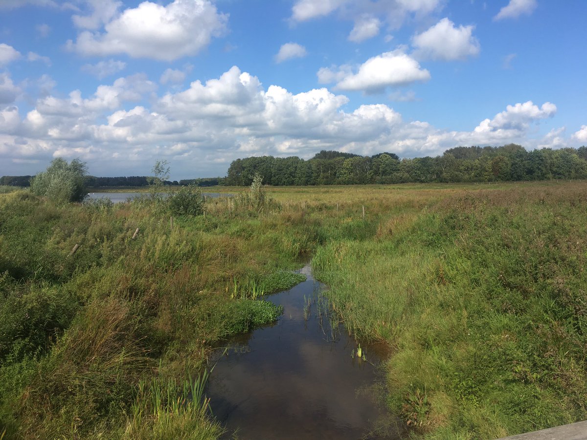 17 september is de Dag van het Kanaalpark. Wij namen een rustig voorproefje in dit fijne nieuwe natuurgebied. Op de foto de Rosmalense Aa.
