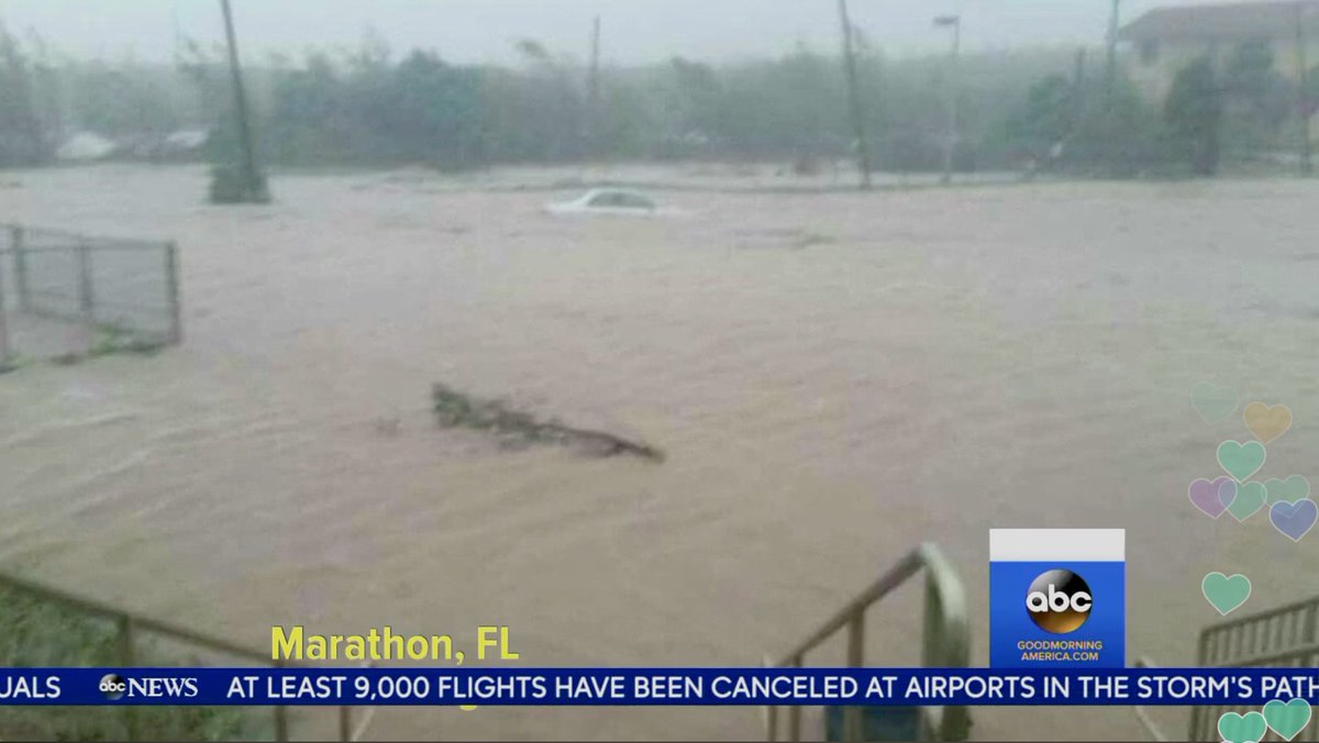 Download2Give's tweet photo. RT @IrfanSabrina: RT @RobPulseNews: BREAKING PHOTO: Right now in Marathon, Florida Keys. Cars underwater. #Irma 

… https://t.co/4tSYKuC8xp