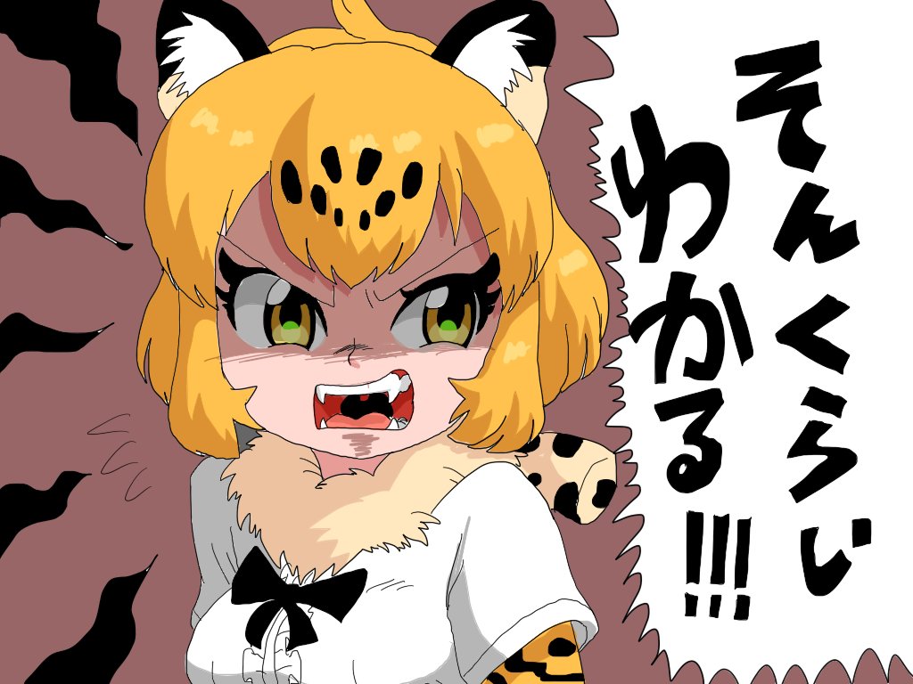 フレンズ 1