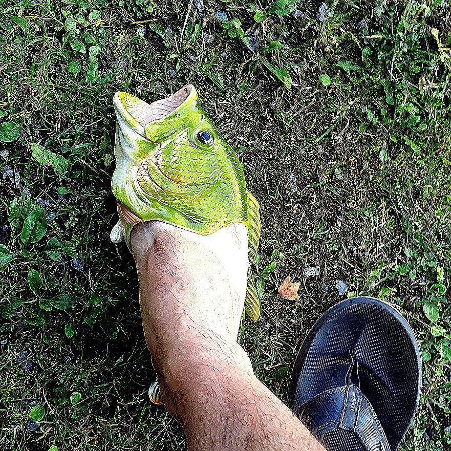 Big foot problems! 
Gord Farewell  busted out these FishFlops and I had to try them out! 
#bass #fishing #flipflops #summer