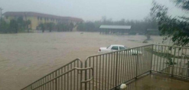 Peter blake tweet media