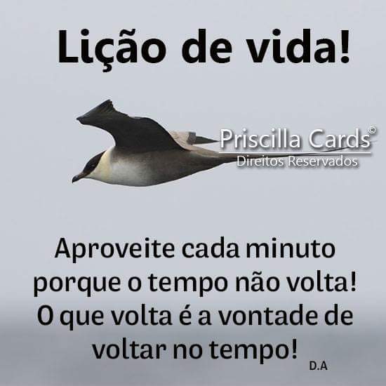 #BetasegueBeta #BetaAjudaBeta