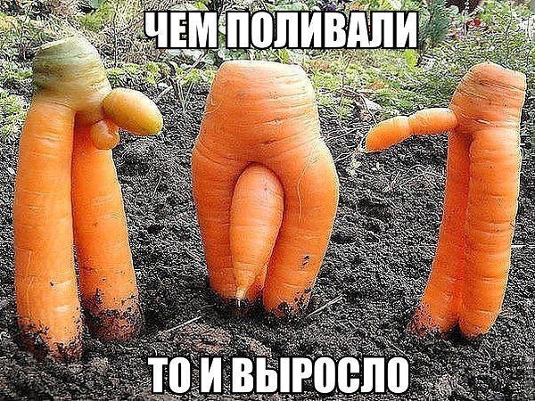 Сашка Марзан (@suzukicycling) on Twitter photo 