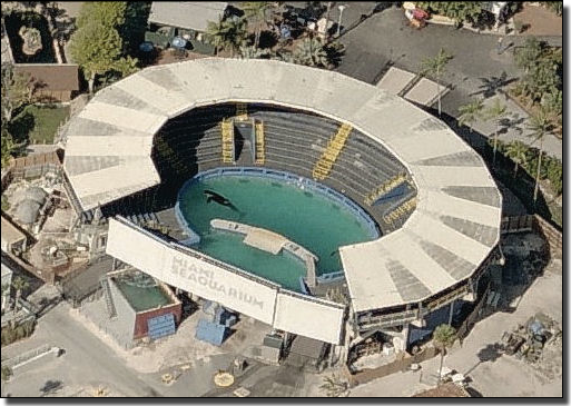 oceanCRIES's tweet photo. if an animal kept in captivity
CANNOT be moved to safety
during mandatory evacuation,
it means that animal
SHOULD NOT
BE HELD IN CAPTIVITY! https://t.co/Zz4HAsdhJL