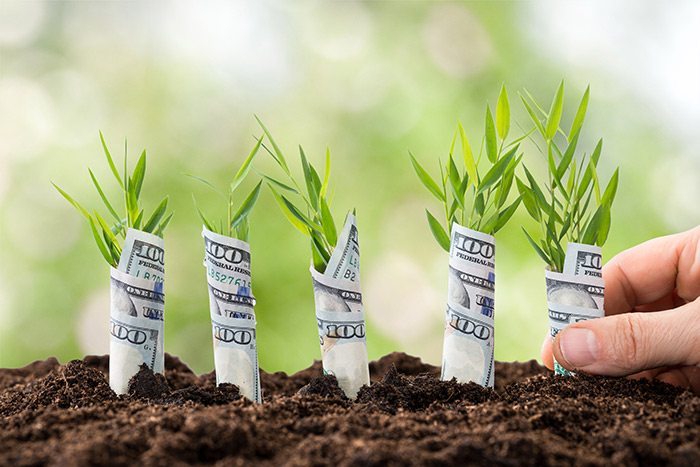 OffGridWorld's tweet photo. How to make money when you live off the grid https://t.co/LLvlanYd3w #offgrid #homebusiness #homestead https://t.co/4Tb6d2tEIw