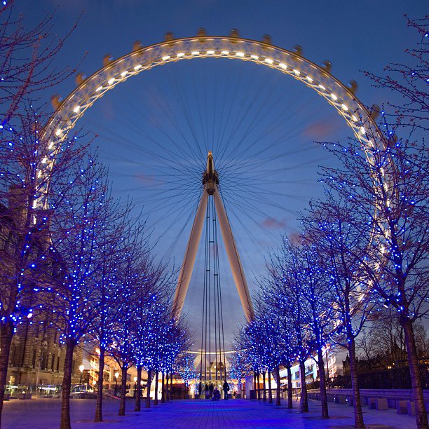 DerekSamuel4's tweet photo. London, England.  #london #eye #london #england #trees #winter #lights #blue #night #ferris #wheel #photooftheday #pretty #followback #FF https://t.co/hoWPOP1i9h