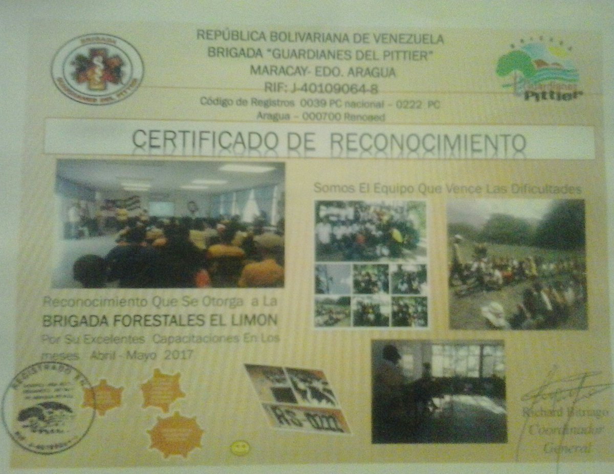 Forestales El Limon tweet media