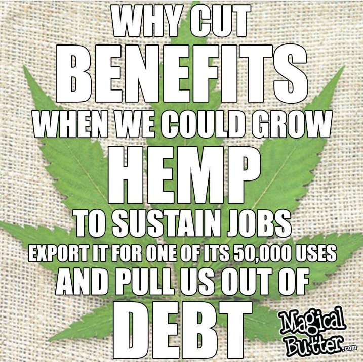 HempHelps's tweet photo. #Hemp can help turn our economy around and supply thousands (if not millions) of jobs!! #HempHelps #GrowHemp #LegalizeIt https://t.co/4aEuQxK0Jr