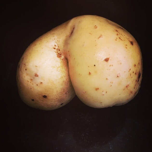 SaraLloyd250's tweet photo. Strong and stable my arse #Brexit #fruitsofyourlabour #gardening #eastdulwich https://t.co/f6LeJHF1yb