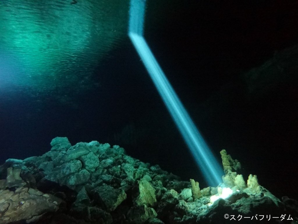 ScubaFreedom's tweet photo. 春から秋、半年間だけの絶景

#underwaterphoto #diving #ダイビング #地形ダイビング #水中写真 https://t.co/NGduzTKdpb https://t.co/m6xtzftYH5