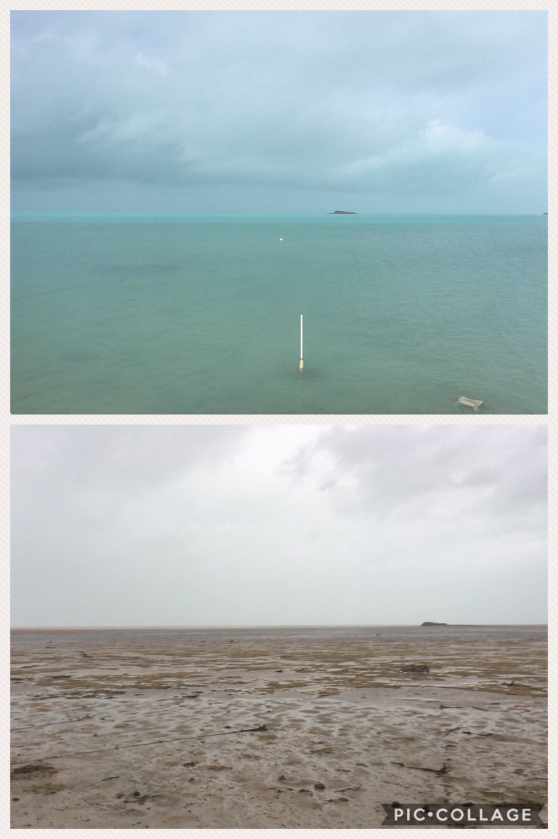 Ver imagen en Twitter