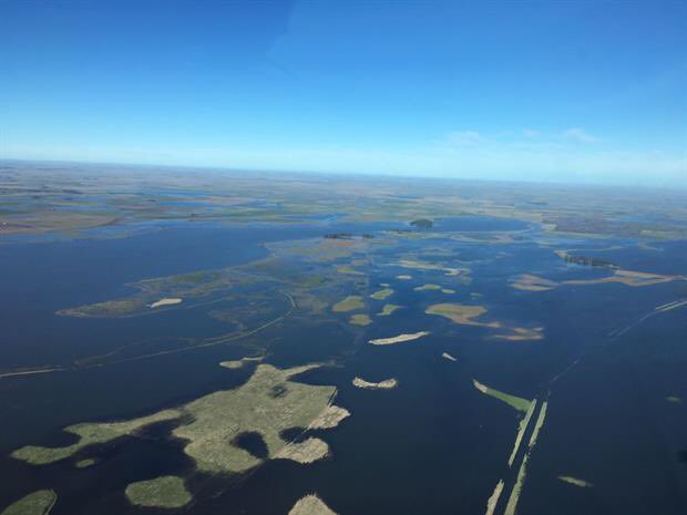 Ver imagen en Twitter